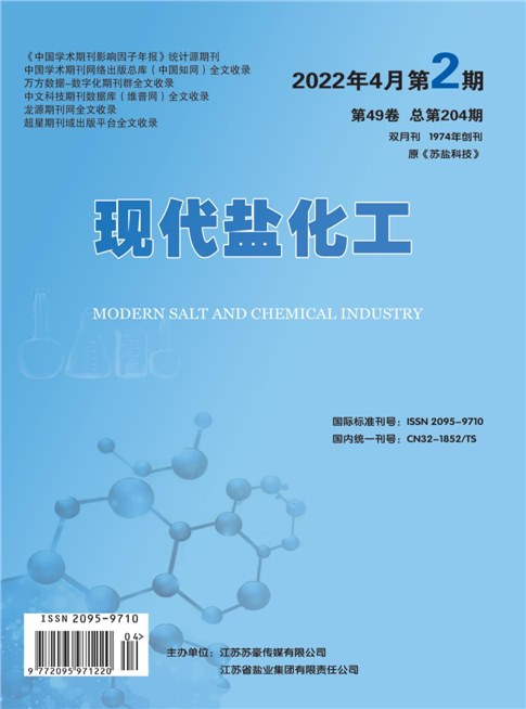 现代盐化工封面 现代盐化工封面